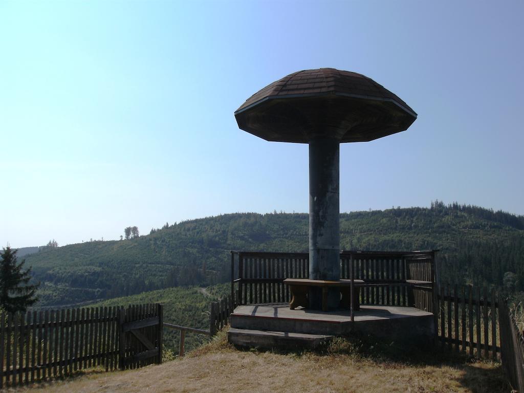 Gasthof Rodachtal Mit Gaestehaus Katharina Schwarzenbach am Wald Kültér fotó