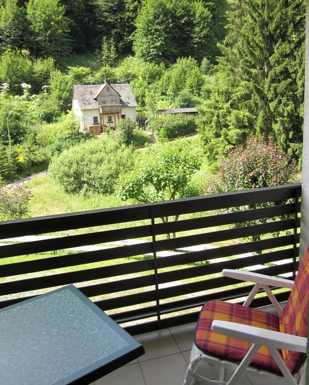 Gasthof Rodachtal Mit Gaestehaus Katharina Schwarzenbach am Wald Szoba fotó