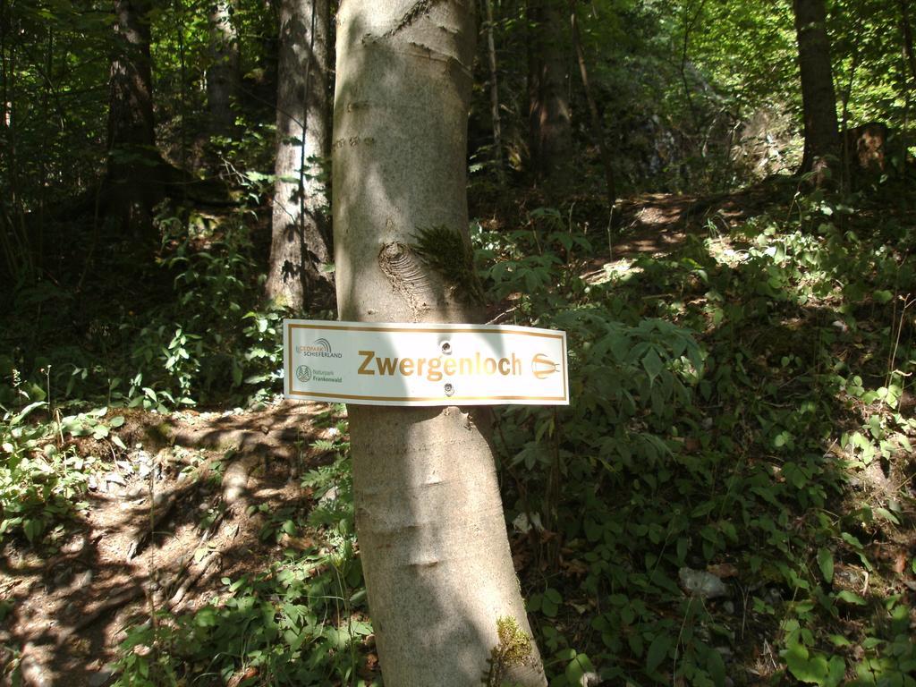 Gasthof Rodachtal Mit Gaestehaus Katharina Schwarzenbach am Wald Kültér fotó